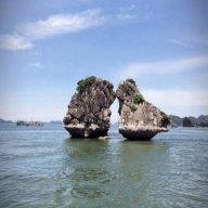 Hgchinh