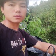 Hồng