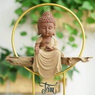 Tôi là nhất
