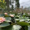 thuong687
