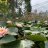 thuong687